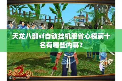 天龙八部sf自动挂机服省心榜前十名有哪些内幕？