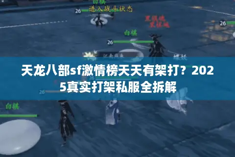 天龙八部sf激情榜天天有架打？2025真实打架私服全拆解