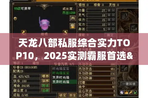 天龙八部私服综合实力TOP10,2025实测霸服首选&避坑名录 天龙八部私服综合实力TOP10,2025实测霸服首选&避坑名录