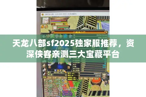 天龙八部sf2025独家服推荐，资深侠客亲测三大宝藏平台