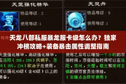 天龙八部私服暴龙服卡级怎么办?独家冲榜攻略+装备暴击属性调整指南 天龙八部私服暴龙服卡级怎么办?独家冲榜攻略+装备暴击属性调整指南