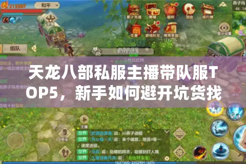 天龙八部私服主播带队服TOP5,新手如何避开坑货找到真神级体验? 天龙八部私服主播带队服TOP5,新手如何避开坑货找到真神级体验?