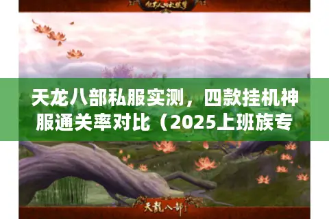 天龙八部私服实测,四款挂机神服通关率对比(2025上班族专版) 天龙八部私服实测,四款挂机神服通关率对比(2025上班族专版)