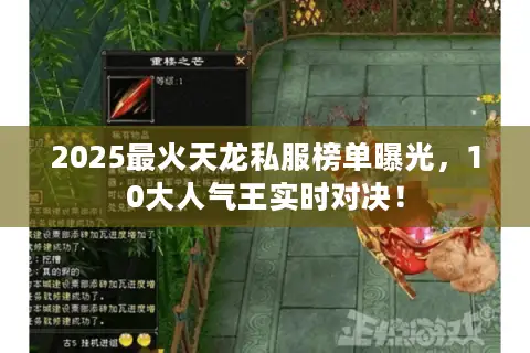 2025最火天龙私服榜单曝光,10大人气王实时对决! 2025最火天龙私服榜单曝光,10大人气王实时对决!