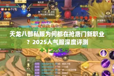 天龙八部私服为何都在抢唐门新职业？2025人气服深度评测