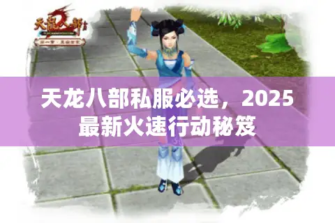 天龙八部私服必选,2025最新火速行动秘笈 天龙八部私服必选,2025最新火速行动秘笈