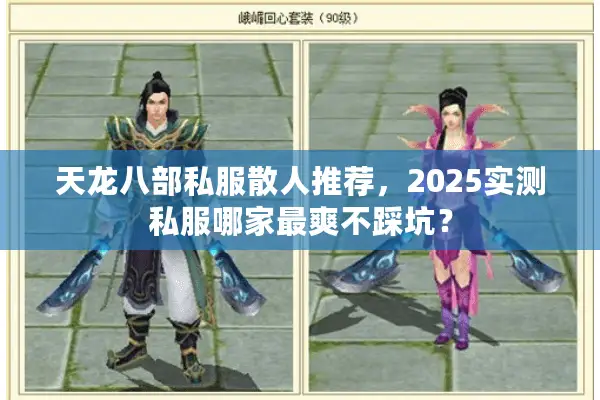 天龙八部私服散人推荐，2025实测私服哪家最爽不踩坑？