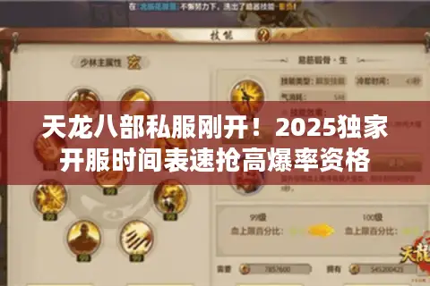 天龙八部私服刚开！2025独家开服时间表速抢高爆率资格