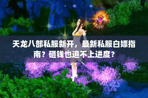天龙八部私服新开，最新私服白嫖指南？砸钱也追不上进度？