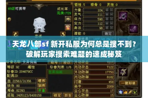 天龙八部sf 新开私服为何总是搜不到？破解玩家搜索难题的速成秘笈