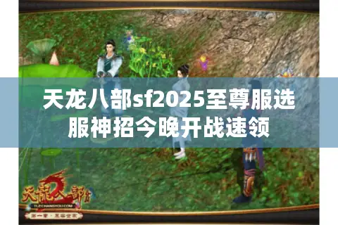 天龙八部sf2025至尊服选服神招今晚开战速领 天龙八部sf2025至尊服选服神招今晚开战速领