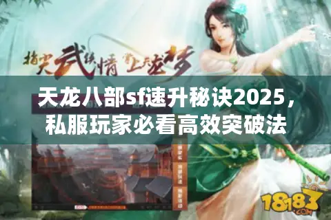 天龙八部sf速升秘诀2025，私服玩家必看高效突破法