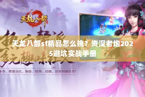 天龙八部sf精品怎么挑？资深老炮2025避坑实战手册