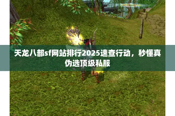 天龙八部sf网站排行2025速查行动,秒懂真伪选顶级私服 天龙八部sf网站排行2025速查行动,秒懂真伪选顶级私服