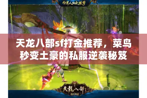天龙八部sf打金推荐,菜鸟秒变土豪的私服逆袭秘笈 天龙八部sf打金推荐,菜鸟秒变土豪的私服逆袭秘笈