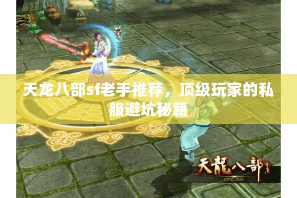 天龙八部sf老手推荐，顶级玩家的私服避坑秘籍