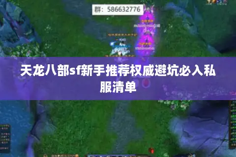 天龙八部sf新手推荐权威避坑必入私服清单 天龙八部sf新手推荐权威避坑必入私服清单