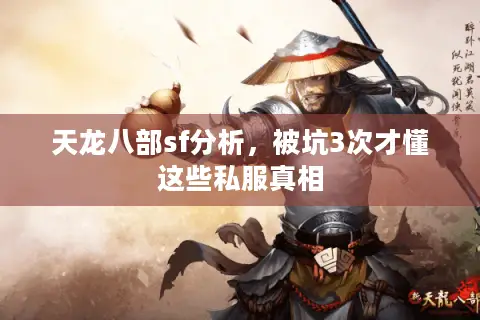 天龙八部sf分析，被坑3次才懂这些私服真相