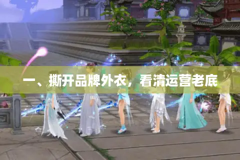 一、撕开品牌外衣,看清运营老底 一、撕开品牌外衣,看清运营老底