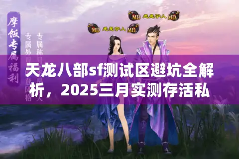 天龙八部sf测试区避坑全解析，2025三月实测存活私服筛选术