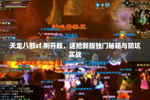天龙八部sf 刚开服，速抢新服独门秘籍与防坑实战