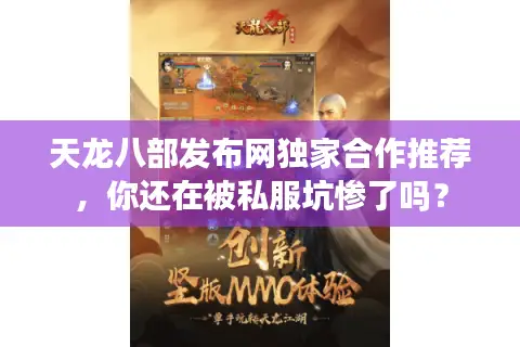 天龙八部发布网独家合作推荐，你还在被私服坑惨了吗？