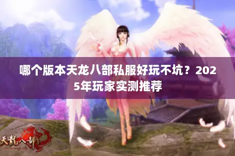 哪个版本天龙八部私服好玩不坑?2025年玩家实测推荐 哪个版本天龙八部私服好玩不坑?2025年玩家实测推荐