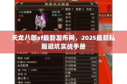 天龙八部sf最新发布网，2025最新私服避坑实战手册