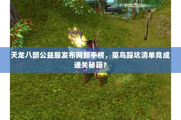 天龙八部公益服发布网新手榜，菜鸟踩坑清单竟成通关秘籍？