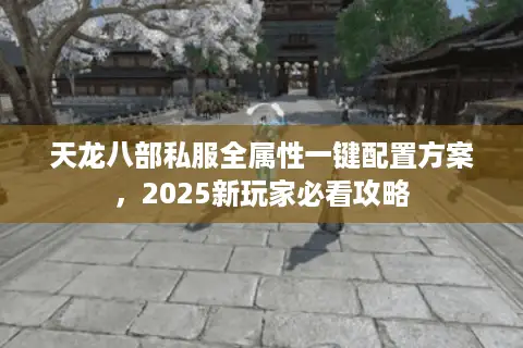 天龙八部私服全属性一键配置方案，2025新玩家必看攻略