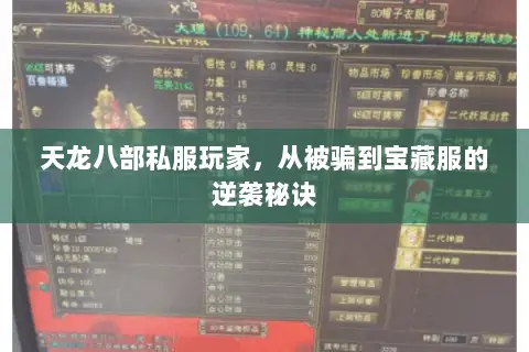 天龙八部私服玩家,从被骗到宝藏服的逆袭秘诀 天龙八部私服玩家,从被骗到宝藏服的逆袭秘诀