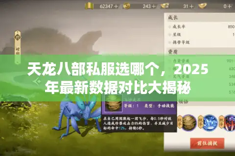 天龙八部私服选哪个,2025年最新数据对比大揭秘 天龙八部私服选哪个,2025年最新数据对比大揭秘