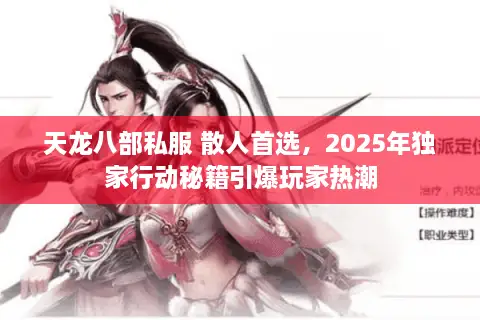 天龙八部私服 散人首选，2025年独家行动秘籍引爆玩家热潮
