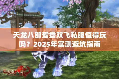 天龙八部鸳鸯双飞私服值得玩吗？2025年实测避坑指南