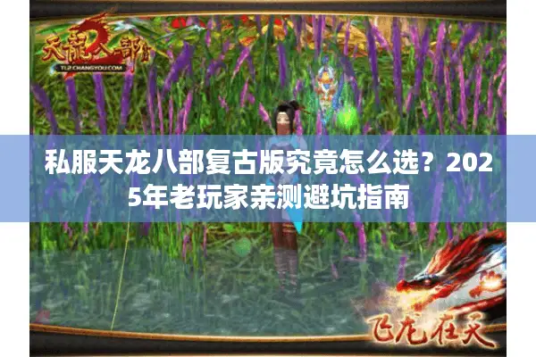 私服天龙八部复古版究竟怎么选？2025年老玩家亲测避坑指南