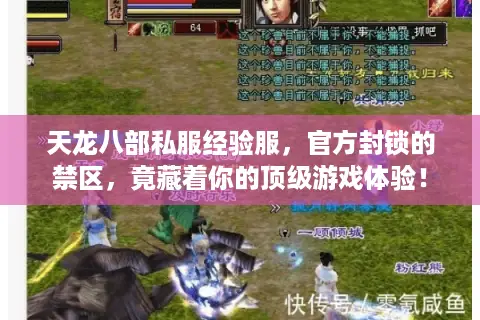 天龙八部私服经验服，官方封锁的禁区，竟藏着你的顶级游戏体验！