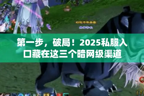 第一步，破局！2025私服入口藏在这三个暗网级渠道