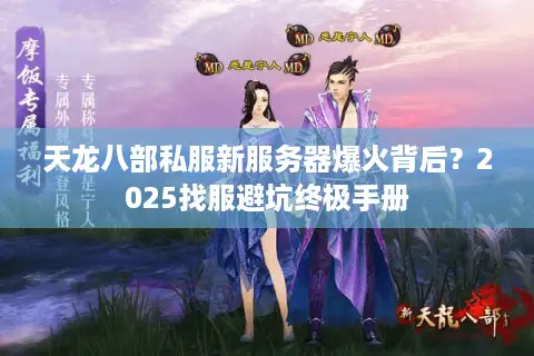 天龙八部私服新服务器爆火背后？2025找服避坑终极手册