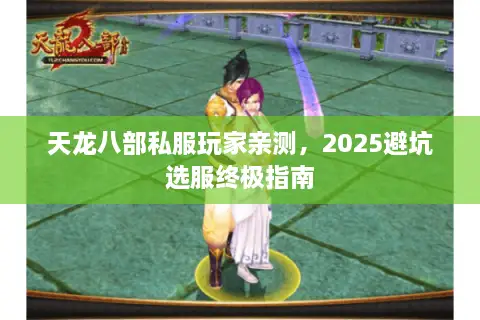 天龙八部私服玩家亲测，2025避坑选服终极指南