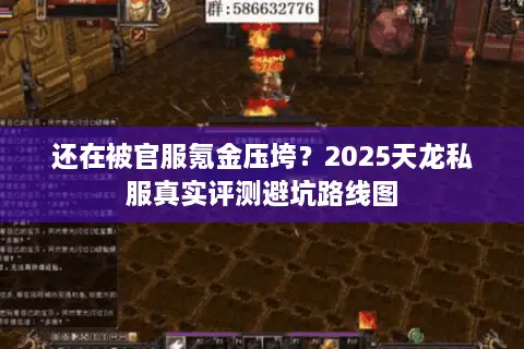 还在被官服氪金压垮？2025天龙私服真实评测避坑路线图