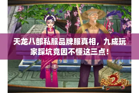 天龙八部私服品牌服真相，九成玩家踩坑竟因不懂这三点！