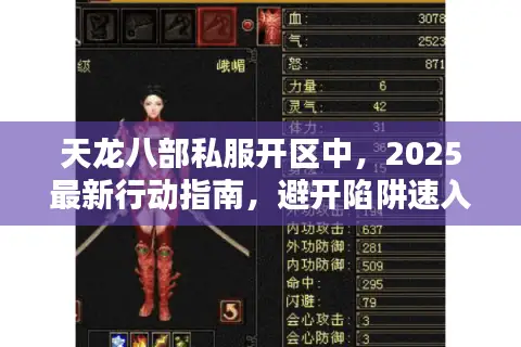 天龙八部私服开区中，2025最新行动指南，避开陷阱速入新区！