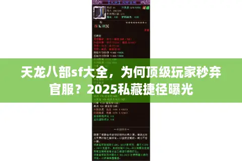 天龙八部sf大全，为何顶级玩家秒弃官服？2025私藏捷径曝光