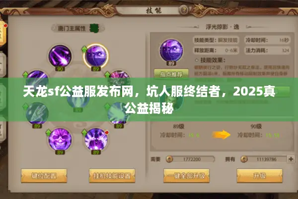 天龙sf公益服发布网，坑人服终结者，2025真公益揭秘