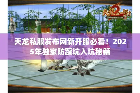 天龙私服发布网新开服必看！2025年独家防踩坑入坑秘籍