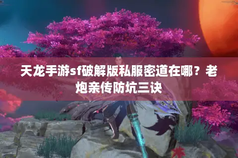 天龙手游sf破解版私服密道在哪?老炮亲传防坑三诀 天龙手游sf破解版私服密道在哪?老炮亲传防坑三诀