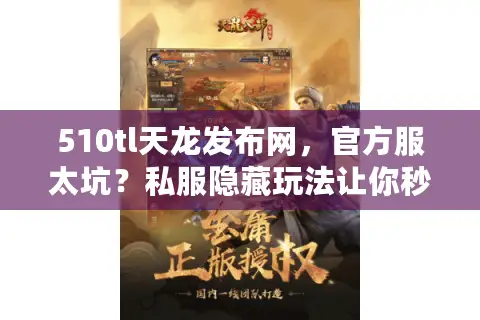 510tl天龙发布网，官方服太坑？私服隐藏玩法让你秒变大佬！