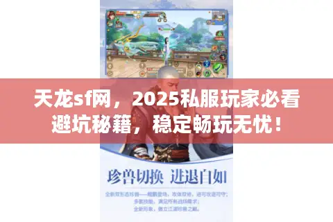天龙sf网,2025私服玩家必看避坑秘籍,稳定畅玩无忧! 天龙sf网,2025私服玩家必看避坑秘籍,稳定畅玩无忧!