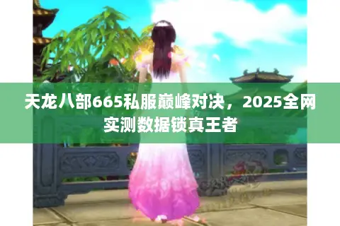天龙八部665私服巅峰对决，2025全网实测数据锁真王者
