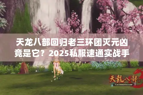 天龙八部回归老三环团灭元凶竟是它？2025私服速通实战手册